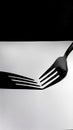 Fork spoon shadow photography, perfect for wallpaper. Royalty Free Stock Photo