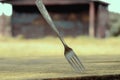 Fork on the table