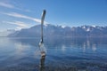 The Fork of Vevey in Lake Geneva, Switzerland