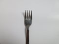 Fork