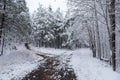 Fork in Winter forest Path Royalty Free Stock Photo