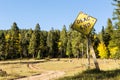 Forked dirt road dead end sign Royalty Free Stock Photo