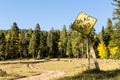 Forked dirt road dead end sign