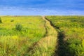 Forked footpath on a grassy valley and blue cloudly sky