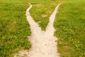 Forked footpath among green grass