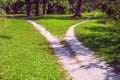 Forked footpath in the park, diverging in different directions