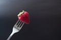 Forked Fresh Summer Strawberry - Ready to eat copy space. Dark Background Royalty Free Stock Photo