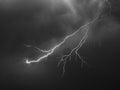 Lightning bolt with many side branches Royalty Free Stock Photo