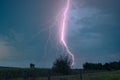 Forked lightning strikes behind a tree