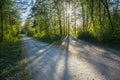 Forked road and green trees and sun light Royalty Free Stock Photo