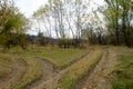 Forked rural roads in autumn forest Royalty Free Stock Photo