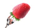 Forked strawberry Royalty Free Stock Photo