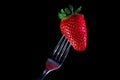 Forked strawberry Royalty Free Stock Photo