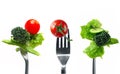 Forkfuls of Healthy Food Over White Royalty Free Stock Photo