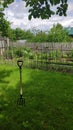 Forks on the lawn. The concept of gardening. Care of a garden and a kitchen garden.