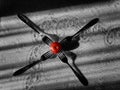 Forks and a red tomato are on the table Royalty Free Stock Photo