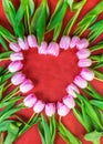 The form of heart from pink tulips