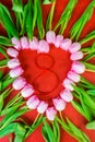 The form of heart from pink tulips and 8