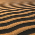 Form smooth undulating lines casting soft shadows and highlighting Royalty Free Stock Photo