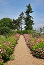 Formal English Garden with Flower strewn Path Royalty Free Stock Photo