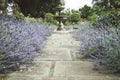 Formal English Garden with Fountain and Lavender Beds.
