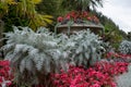 Formal flower garden in Regent`s Park, London UK. The flower beds are planted for autumn and winter.