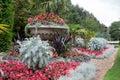 Formal flower garden in Regent`s Park, London UK. The flower beds are planted for autumn and winter.