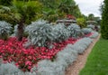 Formal flower garden in Regent`s Park, London UK. The flower beds are planted for autumn and winter.