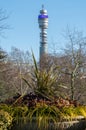 Formal flower gardens in Regent`s Park, London UK, photographed in springtime with water fountain in foreground. Royalty Free Stock Photo