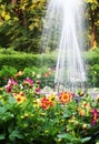 Formal garden Royalty Free Stock Photo