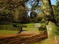The Formal Garden Royalty Free Stock Photo