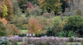 Formal garden at Dyrham Park, Gloucestershire, UK with three wooden chairs. Photographed in autumn.