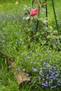 Formal garden with hydrangea flowers, gladiolus, flox and wood store summer green photo Royalty Free Stock Photo