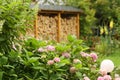 Formal garden with hydrangea flowers, gladiolus, flox and wood store summer green photo Royalty Free Stock Photo