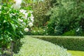 Formal garden low clipped hedge surrounded by lush flowering shrubs and trees