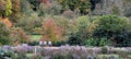 Formal Gardens at Dyrham Park, Gloucestershire. Three wooden garden chairs in a row in bottom left of the photo. Royalty Free Stock Photo