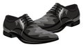 Formal shoes, illustration, vector