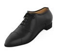 Formal Shoes Isolated