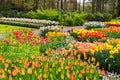 Formal spring garden Royalty Free Stock Photo