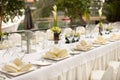 Formal table setting. Outdoor garden style table decoration Royalty Free Stock Photo