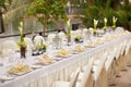 Formal table setting. Outdoor garden style table decoration Royalty Free Stock Photo