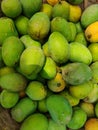 Formalin free tree mango