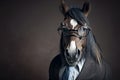 Formally dressed horse sporting glasses in portrait. Generative AI