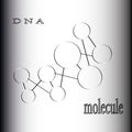 The formation of atoms and molecules chemical compounds DNA