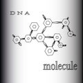 The formation of atoms and molecules chemical compounds DNA