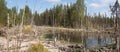 Formation of bogs mesotrophic In the climatic zone taiga, forest-tundra of the Arkhangelsk region