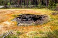 Formation of bogs oligotrophic In the climatic zone taiga, forest-tundra of the Arkhangelsk region. Royalty Free Stock Photo