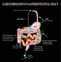 Formation of gases in the gastrointestinal tract.