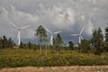 Formation of several wind turbines placed on a mountain surrounded by trees on a very cloudy day. Concept renewable energy,