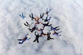 Formation skydiving.A big group of skydivers is in the sky above white clouds. Royalty Free Stock Photo